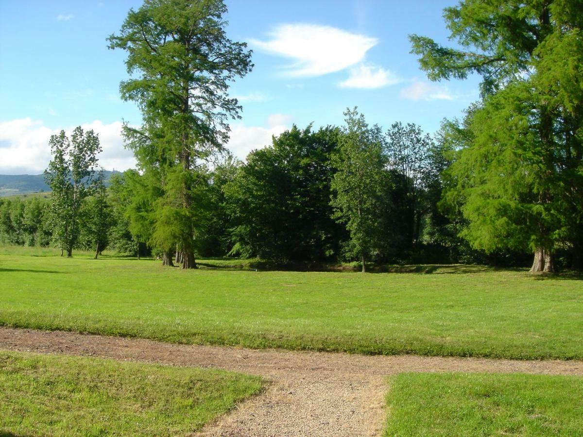 Chateau Saint Vincent Régnié Zewnętrze zdjęcie